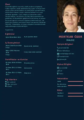 Dalgıç CV Örnekleri cv indir